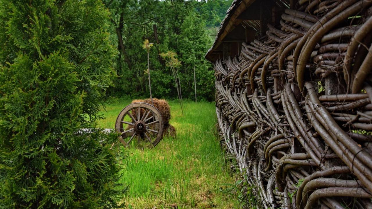 Acasa In Maramures Feresti Exterior photo